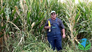 3.9K views · 23 reactions | Mark Zeimet is AgriTec's dealer in the Maquoketa, IA area covering a 50 mile radius. To contact him for more information: Call (563) 249-6224 Email turtlezeimet@gmail.com AgriTec fertilizer programs prove time and time again that they are more effective and cheaper than conventional programs. | AgriTec International Inc. | Facebook