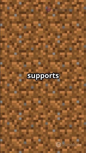 Top 3 free Minecraft Launchers to play on! #minecraft #gaming #minecraftlauncher