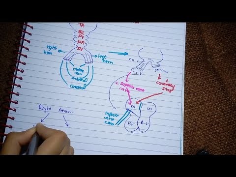 Development of Sinus Venosus l Embryology of sinus Venosus and pulmonary veins l Easy Explained
