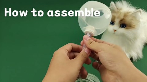 Dog Oxygen Mask, Inhaler Mask for Medium Dogs, Pet Oxygen Mask and Tube, Suitable for Medium Dogs (Equipment Not Included) （M）