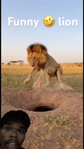 Warthog tries Elephant Mask 😂🐘#funny #lion