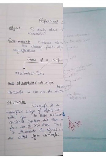 COMPOUND MICROSCOPE // Biology Practical// Class 11