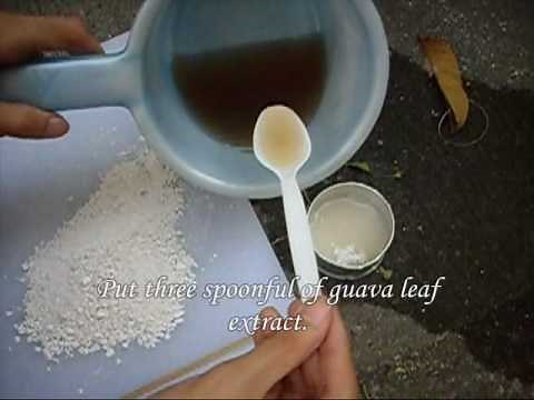 The Best Investigatory Projects in Science: 16 Fun Easy Ideas to Kickstart Your Project