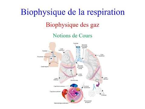 Biophysique de la respiration