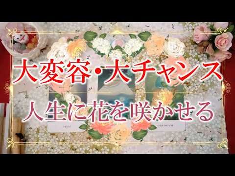 240. Eriko Ear Oracle 👼 "Major Transformation & Huge Opportunity: Making Life Bloom" 🌸🌹🌺 Opportun...