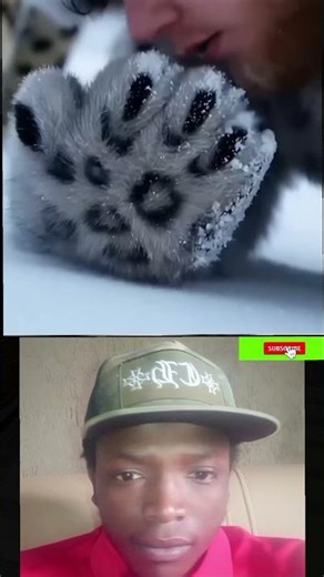 time for man vs leopard😂 #funny