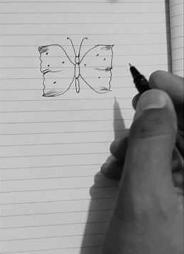 How to Draw a Realistic Butterfly Step by Step | Easy Butterfly Drawing for Beginners
