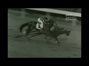 A tribute to Whirlaway {Impossible} RIP champ