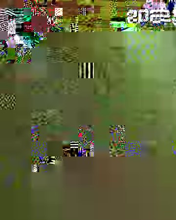 17K views · 253 reactions | Kansas Football on Reels | Facebook