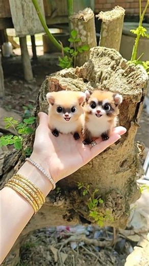 😍🐾 Mystery inside the tree trunk! Two tiny cute creatures came out! 🌳✨ #shorts