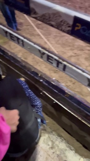 Rank Mini Bull Rodeo: An Exciting Showdown with Lachlan Bateman