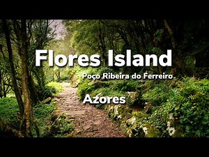 Ambient hiking in Azores / Flores island / Poço ribeira do ferreiro (full hike)