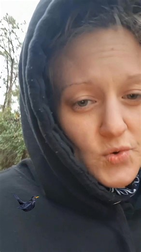 🐦‍⬛🖤 #candycane | Candace Cloud