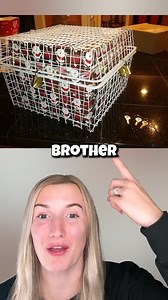 The funniest pranks ever! | The Blondie Girl