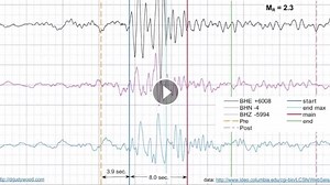 Kam zmizol WTC - alarm