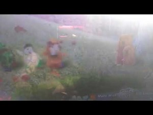 Wonder Pets Goodbye Scenes (For Colleen Ford)