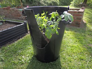 DIY Growing Potato Tower With Turning Bins