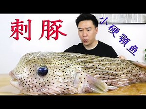 575 yuan to buy a squid porpoise, the whole body is thorn, the soup is fresh and soft, delicious!