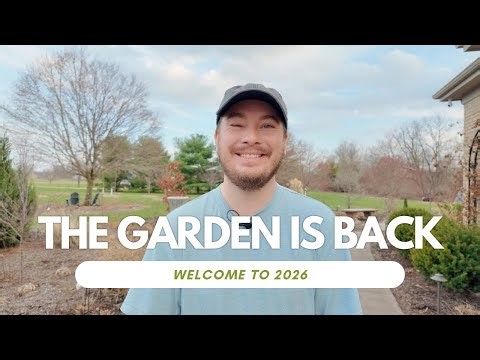 The Garden Is Back and So Am I | The Southerner's Garden
