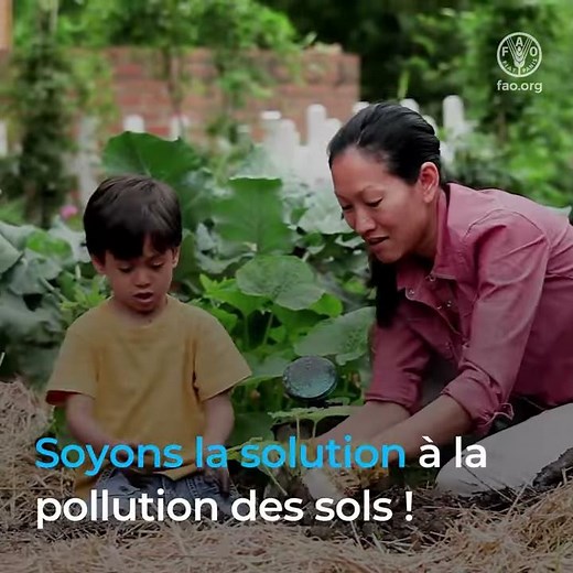 7 choses que vous pouvez faire pour prévenir la pollution des sols.