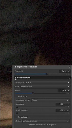 Tutorial Cara Menghilangkan Noise pada Foto Menggunakan Rawtherapee | Shorts