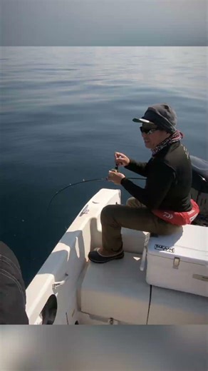 Takamitechnos customrod #五目ジギング #釣行動画 #ジギング #fishing #タカミテクノス #takamitechnos