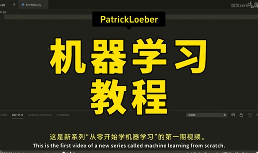 【精译⚡机器学习教程】PatrickLoeber