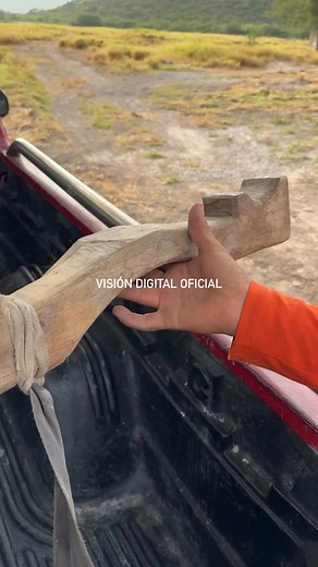 310K views · 1.5K reactions | Cómo se llama esta parte de madera que va en la cabeza del toro y para que se usa …!!! Por acá en el Rancho de los Moctezuma en el Caravol RIOVERDE SLP | Vision Digital Oficial | Facebook