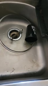 Things in Texas #Texas #scorpion #wildlife #home #insects | James Bigley Ranches