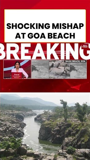 Viral Video: Tourist swept away by powerful waves at Goa's Baga Beach, dies