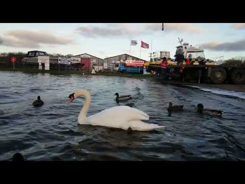 🇮🇪🦢MALLARD DUCKS🦆POLICE BOAT BEING CRAINED INTO KINNEGO MARINA IRELAND🚔🇮🇪$beautiful💓Subscribe🙏LIKE🙏👍