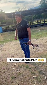 14K views · 620 reactions | El perro caliente Parte 2 藍藍 | Wiluka 2 | Facebook