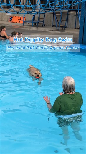 🐾💦 From seasoned swimmers to first-time paddlers, JC Parks’ Hot Dippity Dog Swim was all tail wags, splashes, and summer smiles! 🐶☀️ Watch the furry fun as dogs take over the pool for one last swim of the season. Read the full story at https://www.newstribune.com/news/2025/aug/11/city-pool-welcomes-dogs-to-take-a-dip/ | News Tribune