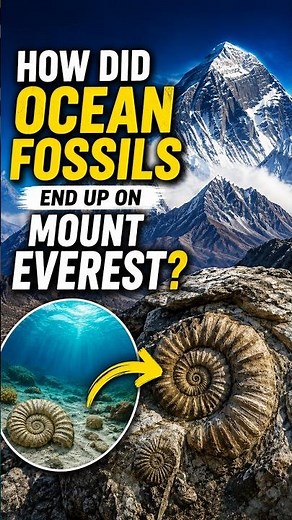 How the ocean ended up on the world's highest peak #Everest #Fossils #Ocean