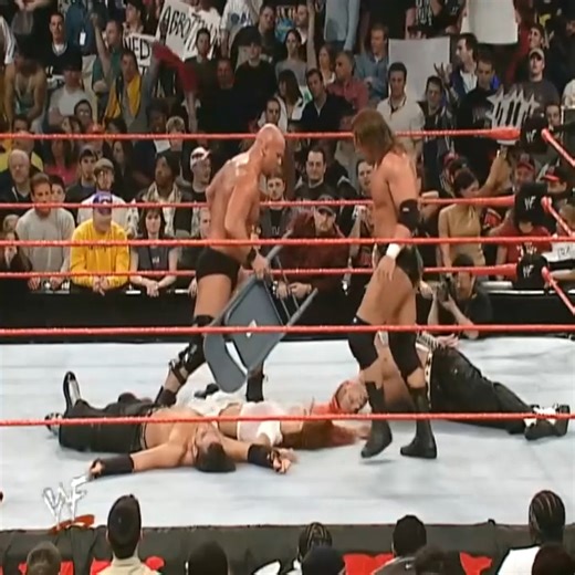 117K views · 1.4K reactions | When Stone Cold and Triple H Destroyed Hardy Boyz and Lita | Jessi Sanny | Facebook