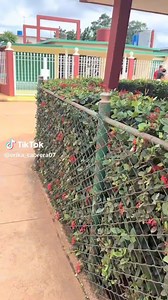 Reencuentros Familiares Cuba 👇🏼🇨🇺🇨🇺🇨🇺❤️❤️❤️💯💯 | El Lugar en Miami