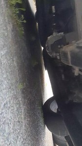 Who else loves a bit of cammed cold start idle? 🙂 | Holden diagnostics