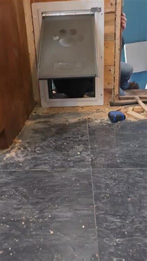 Dog door installation at mom's house.....have to test out the product  | Crazy Fun Farming | Facebook