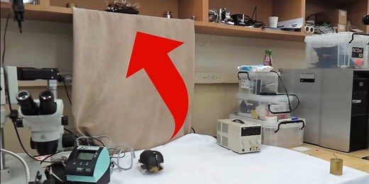 Researchers have created a creepy jumping robot roach