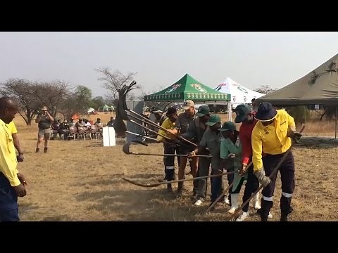 Firefighting demonstration