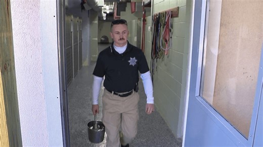 Records shed light on the firing of Pickaway County chief dog warden a month into job
