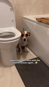 6.2K views · 3.4K reactions | Please read for context and FAQs ...