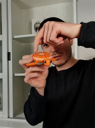 Some clicks on the toy turtle #asmr #asmrvideo