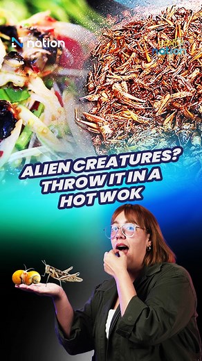 Thais don’t play around when it comes to food. Alien species? No problem, just add some seasoning powder. Plus, these alien species can be hunted, farmed and turned into money makers. #Thaifood #WeirdFood #Somtam #Everydaynationth #TheNationThailand | The Nation Thailand | Facebook