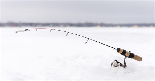 Ontario’s Lake Simcoe under ‘significant ecological stress,’ report says