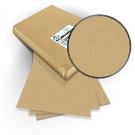 12" x 12" ENVIRONMENT Binding Covers - 100pk