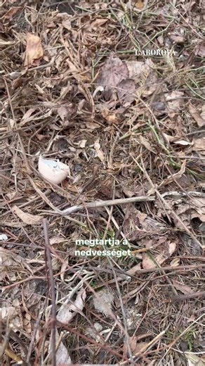 A metszés után nem keletkezik hulladék – csak alapanyag