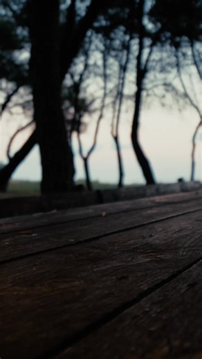 ✨ Give yourself a moment to pause. Breathe, be grateful, and reconnect with what truly matters. May the end of this year find you filled with calm, purpose, and gratitude. 🌿 | Nikken International Inc.