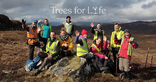 About the work of Trees for Life