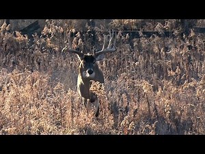 Mark Drury's 211 4/8" "Bucktober" - THE CUTTING ROOM FLOOR